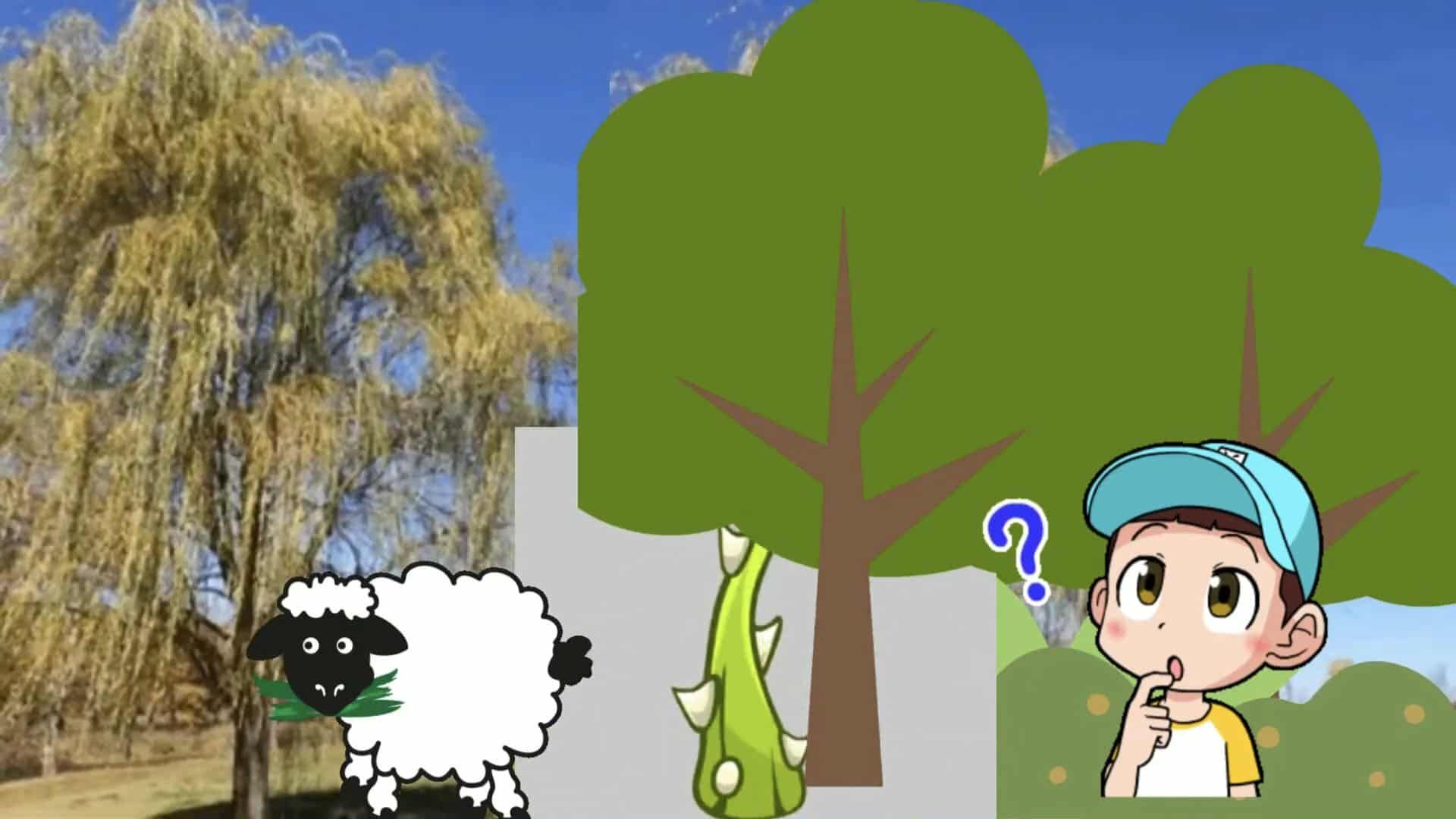 Vježba čitanja i razumijevanja pročitanog: Vrba i trn - narodna basna