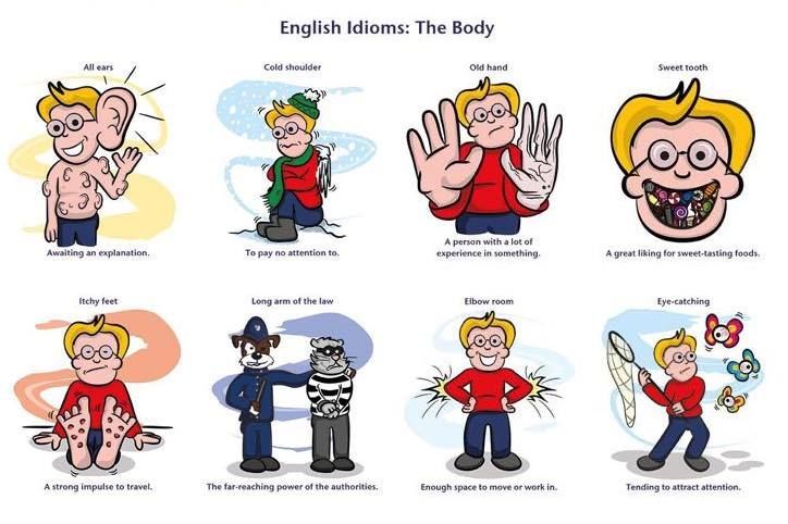 Body idioms and human interaction