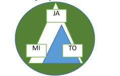 Temom centrirana interakcija