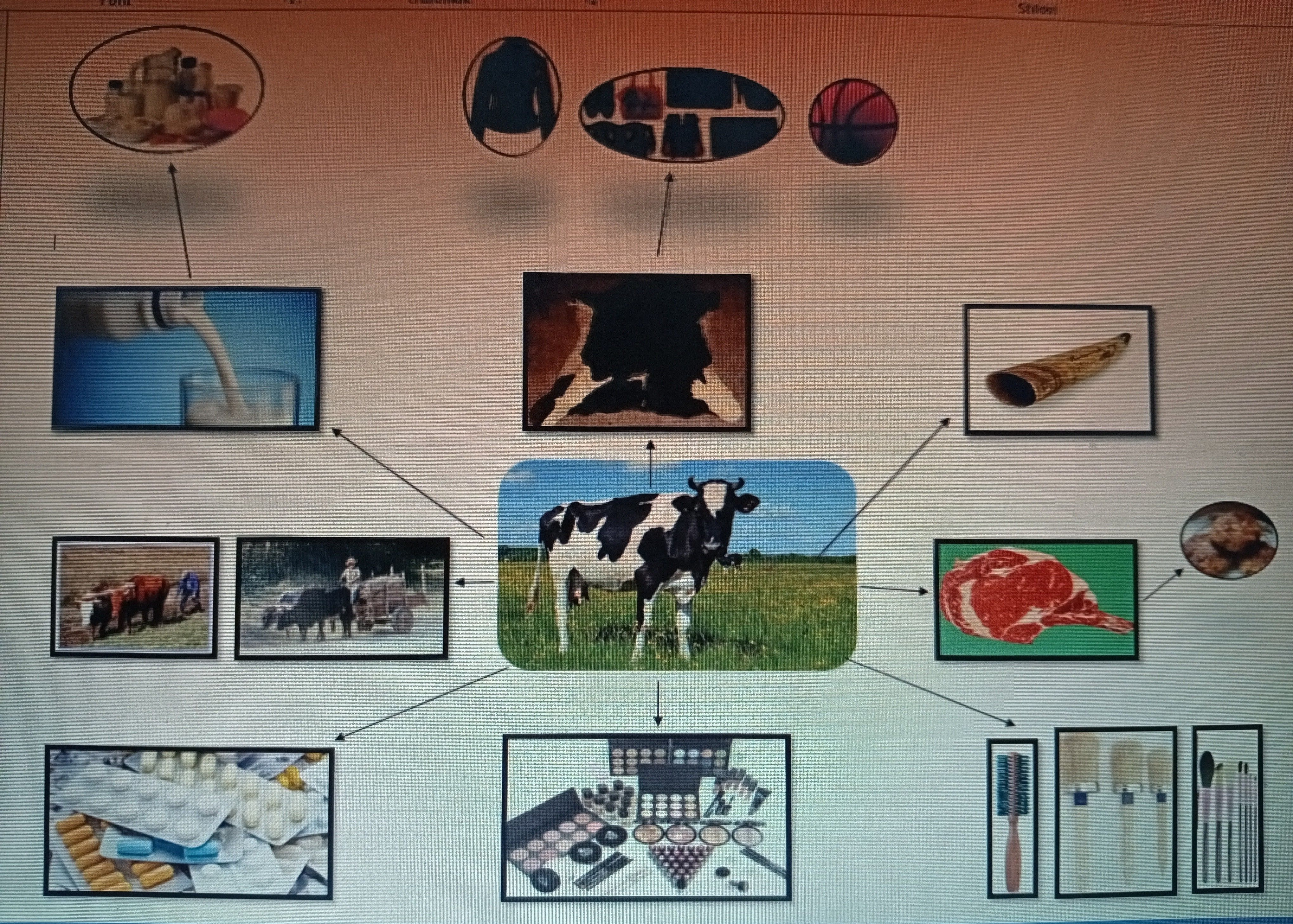 Tema: Domaće životinje, Podteme: Krava, Dnevna tema: Koristi od krave