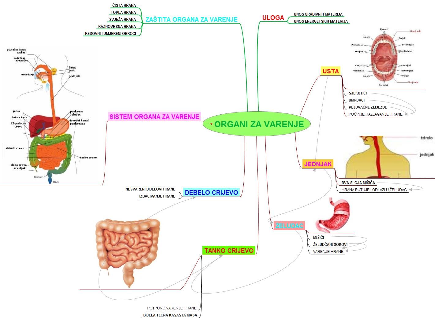 Mape uma kao multimedija