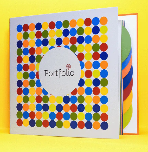 Profesionalni portfolio